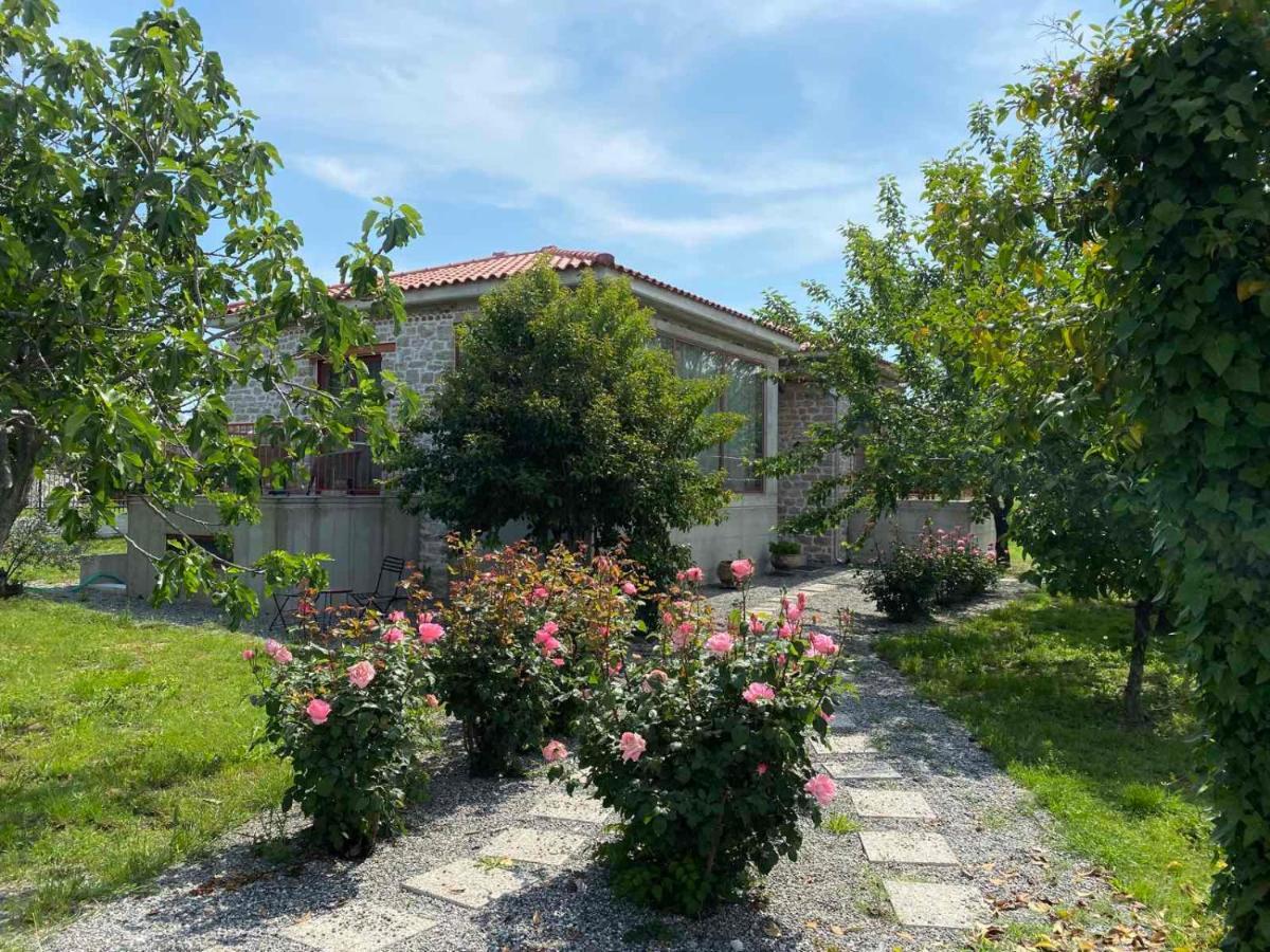 Kampus Luxury Villas Trikala  Exterior foto