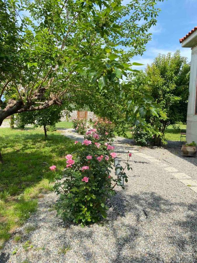 Kampus Luxury Villas Trikala  Exterior foto