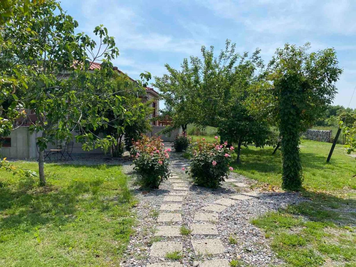 Kampus Luxury Villas Trikala  Exterior foto