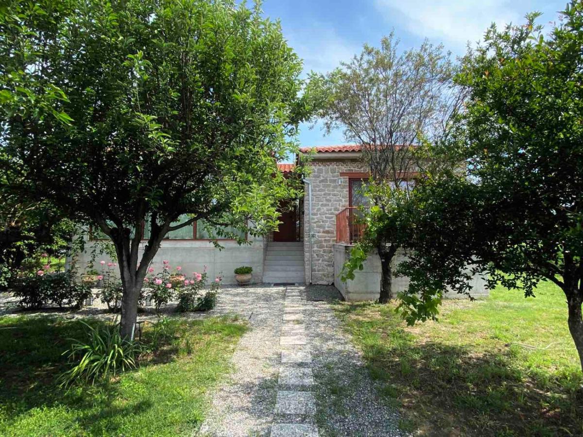 Kampus Luxury Villas Trikala  Exterior foto